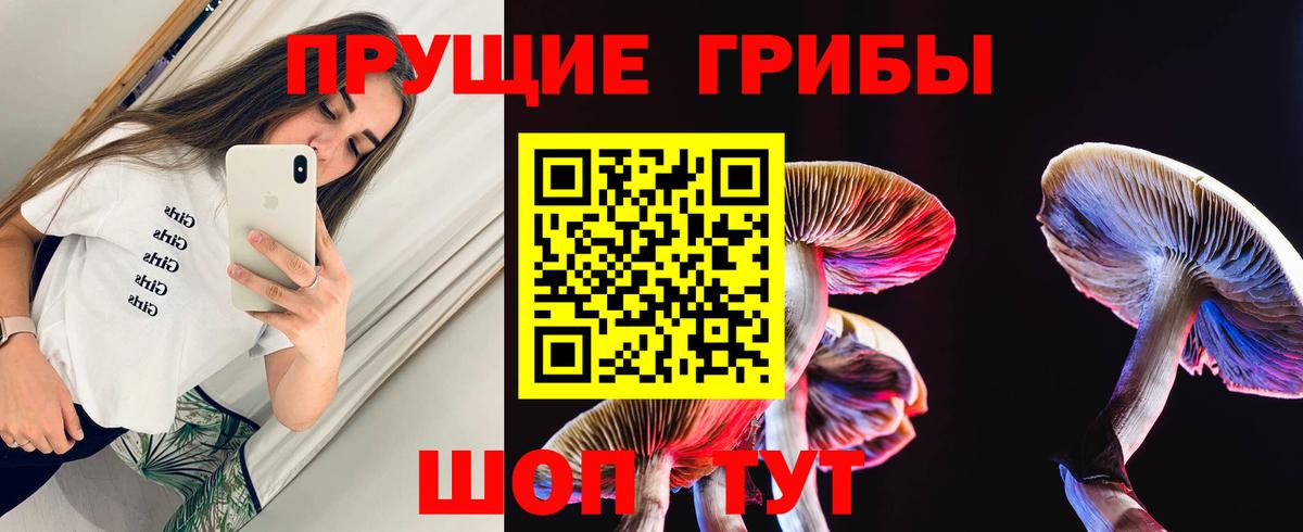 Щёлково  Галлюциногенные грибы GOLDEN TEACHER  Вход с VPN 
