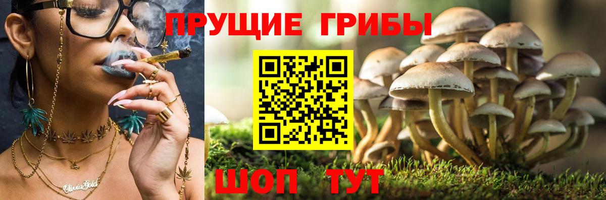 Псилоцибиновые грибы Magic Shrooms Щёлково
